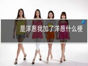 是洋葱我加了洋葱什么梗？是洋葱我加了洋葱是什么意思什么梗