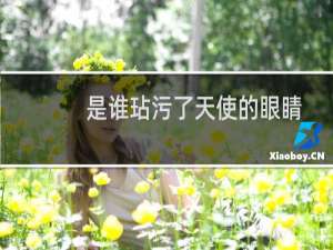 是谁玷污了天使的眼睛(关于是谁玷污了天使的眼睛的简介)