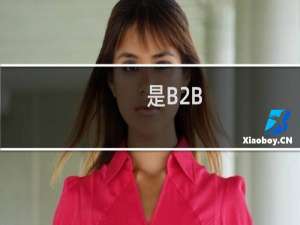 是B2B