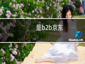 是b2b京东