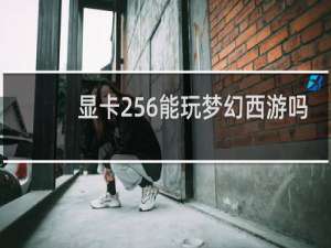 显卡256能玩梦幻西游吗