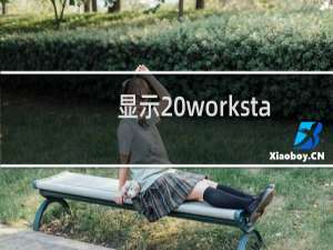 显示 workstation 无法启动