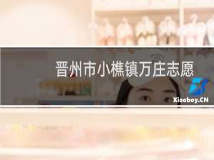 晋州市小樵镇万庄志愿服务分队(关于晋州市小樵镇万庄志愿服务分队的简介)