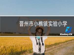 晋州市小樵镇实验小学志愿服务分队(关于晋州市小樵镇实验小学志愿服务分队的简介)