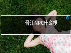 晋江NPC什么梗