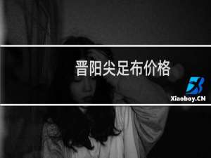 晋阳尖足布价格
