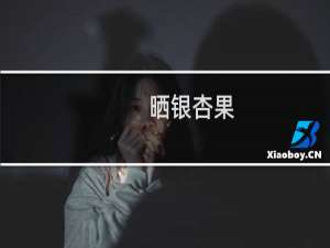 晒银杏果