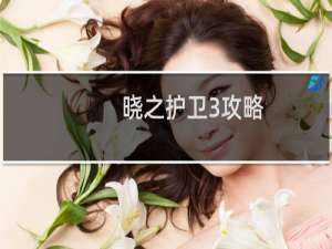 晓之护卫3攻略