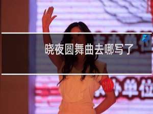 晓夜圆舞曲去哪写了