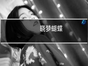 晓梦蝴蝶(关于晓梦蝴蝶的简介)