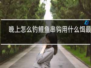 晚上怎么钓鲤鱼串钩用什么饵最好