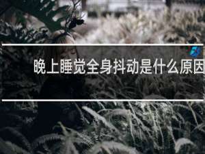 晚上睡觉全身抖动是什么原因