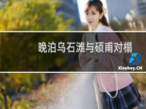 晚泊乌石滩与硕甫对榻拈韵(关于晚泊乌石滩与硕甫对榻拈韵的简介)
