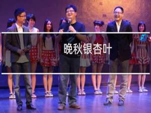 晚秋银杏叶