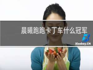 晨曦跑跑卡丁车什么冠军