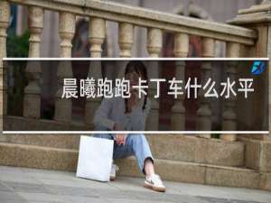 晨曦跑跑卡丁车什么水平