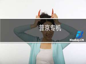 普京专机