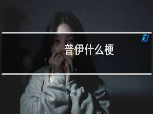 普伊什么梗
