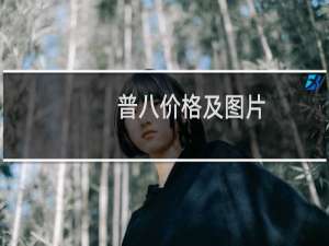 普八价格及图片