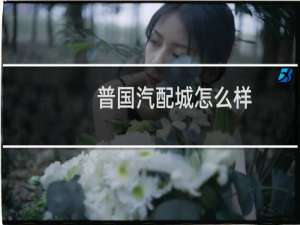 普国汽配城怎么样