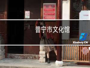 普宁市文化馆(关于普宁市文化馆的简介)