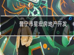 普宁市星宏房地产开发有限公司(关于普宁市星宏房地产开发有限公司的简介)