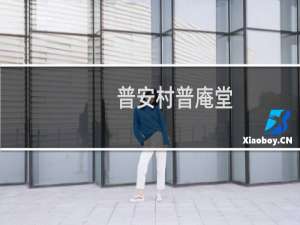 普安村普庵堂(关于普安村普庵堂的简介)