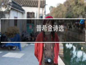 普希金诗选(关于普希金诗选的简介)