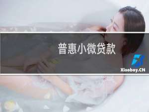 普惠小微贷款(关于普惠小微贷款的简介)