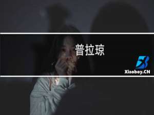 普拉琼(关于普拉琼的简介)