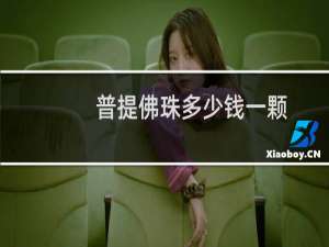 普提佛珠多少钱一颗