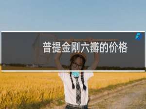 普提金刚六瓣的价格
