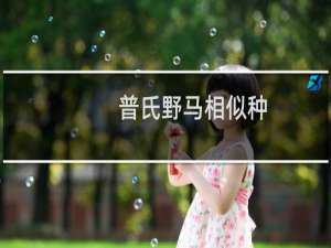 普氏野马相似种(关于普氏野马相似种的简介)