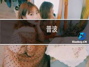 普波(关于普波的简介)