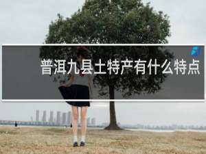 普洱九县土特产有什么特点