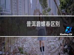 普洱碧螺春区别