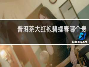 普洱茶大红袍碧螺春哪个贵