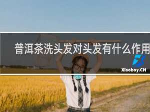 普洱茶洗头发对头发有什么作用吗
