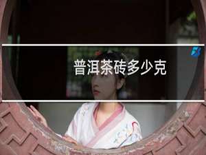 普洱茶砖多少克