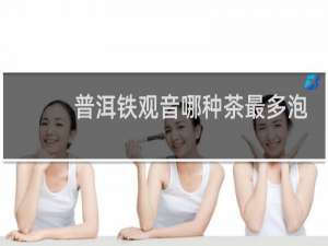 普洱铁观音哪种茶最多泡