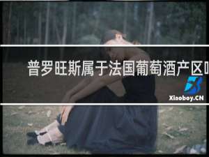普罗旺斯属于法国葡萄酒产区吗