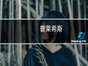 普莱希斯(关于普莱希斯的简介)