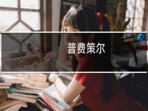 普费策尔(关于普费策尔的简介)