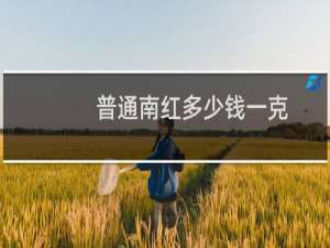 普通南红多少钱一克