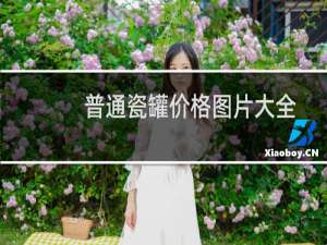 普通瓷罐价格图片大全