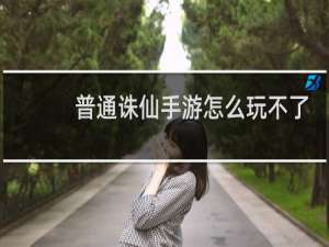 普通诛仙手游怎么玩不了