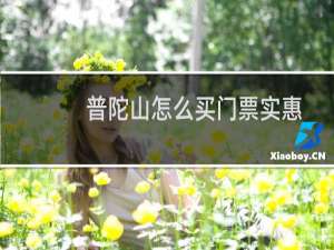 普陀山怎么买门票实惠