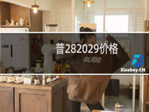 普28 29价格