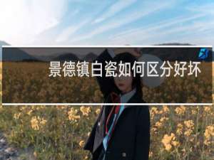 景德镇白瓷如何区分好坏