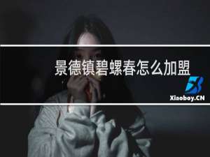 景德镇碧螺春怎么加盟